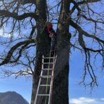 Einsatz_12.4._Moosfeld