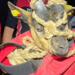 Copyright: Bergrettung Tirol - Ortsstelle Kramsach und Umgebung