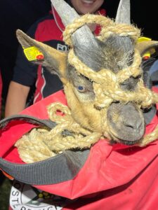 Copyright: Bergrettung Tirol - Ortsstelle Kramsach und Umgebung