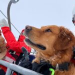 Kurs Hundestaffel_Feb 2026_11