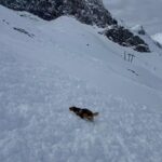 Kurs Hundestaffel_Feb 2026_21