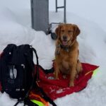 Kurs Hundestaffel_Feb 2026_22