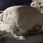 Kurs Hundestaffel_Feb 2026_3