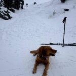 Kurs Hundestaffel_Feb 2026_4